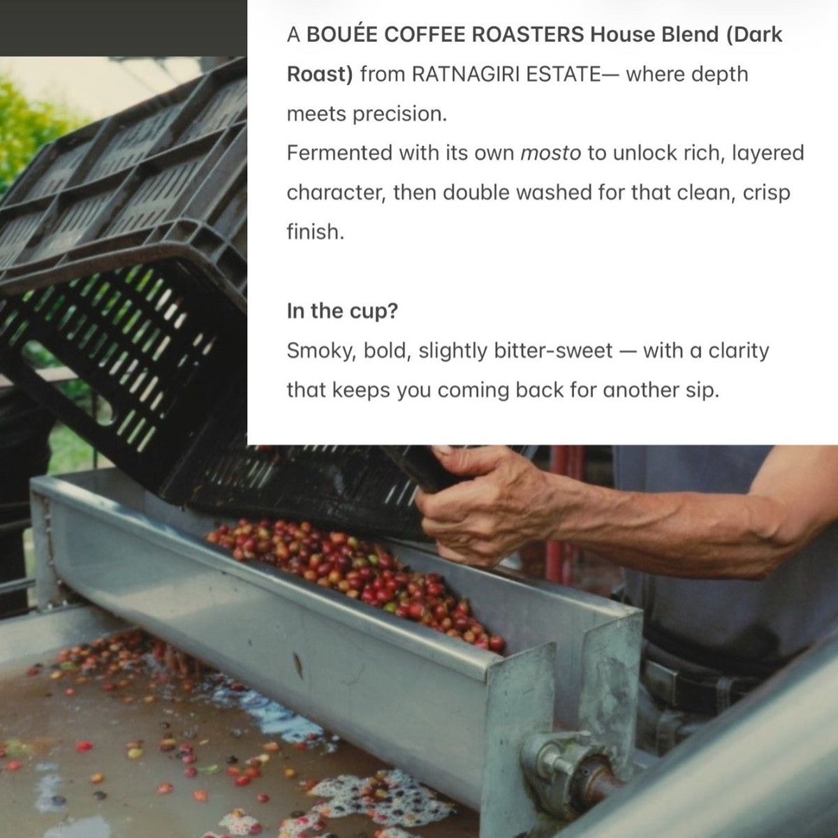 Ratnagiri bouee house blend
