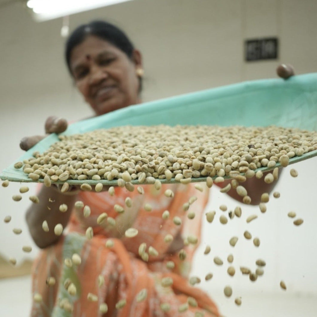 Ratnagiri Mosto Washed