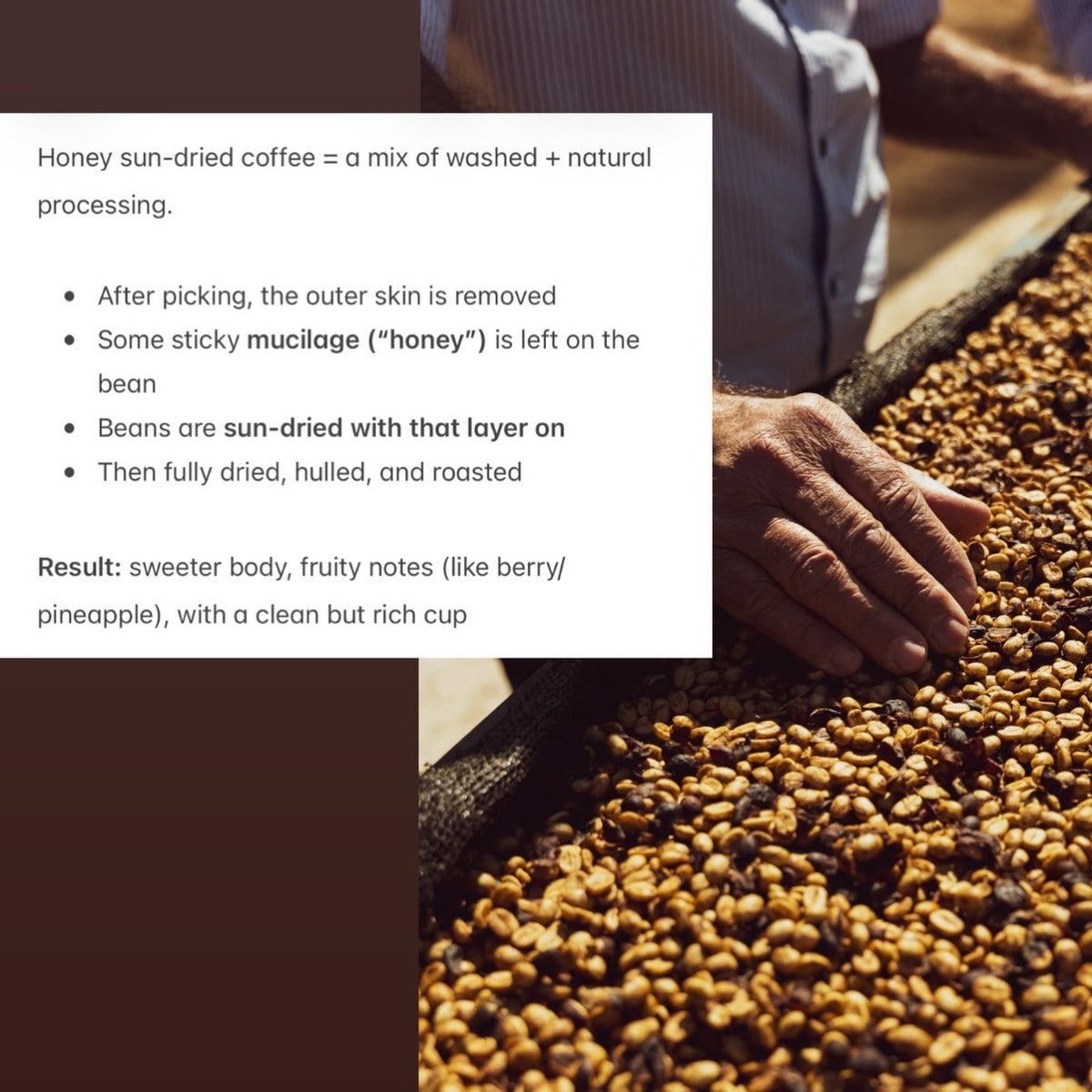 Honey sundried